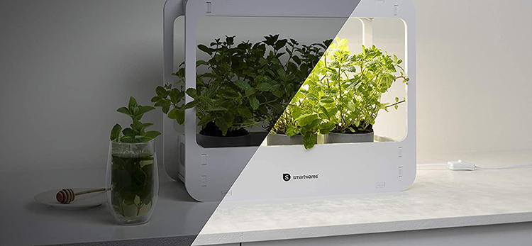 ▷ Test Lampe LED de croissance pour plantes d'intérieur Smartwares !